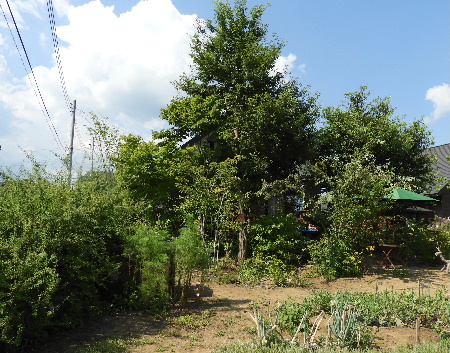 e0172950_8263923.jpg