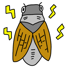 日曜日は休業。_b0065555_07561729.png