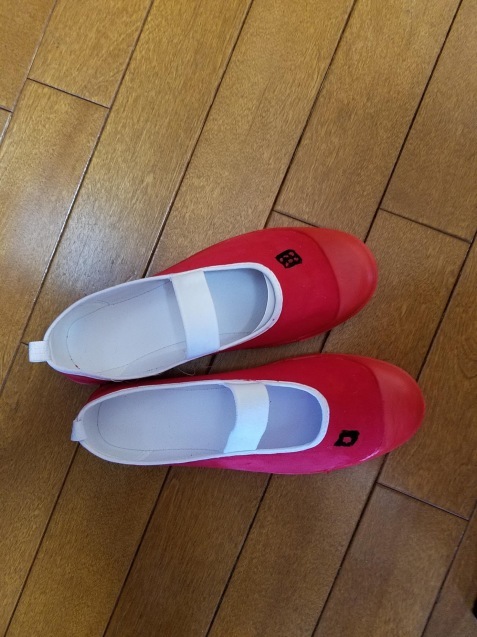 自分用の運動靴_e0074955_15523438.jpg