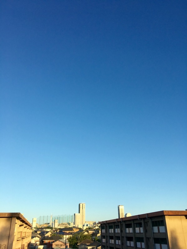 a0226258_14481396.jpg