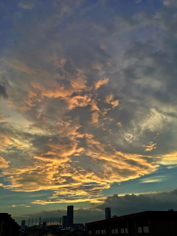 a0226258_14490250.jpg