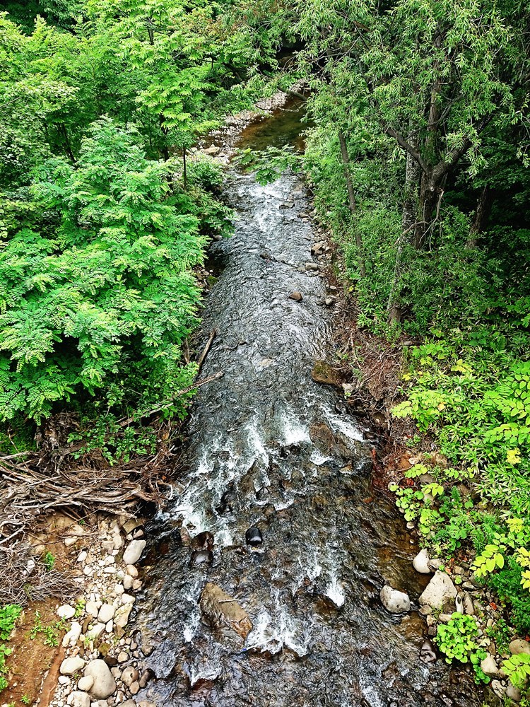 d0039059_22065447.jpg