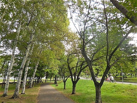 d0145759_17542542.jpg