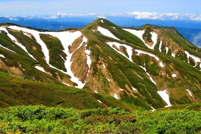 c0119160_05534673.jpg