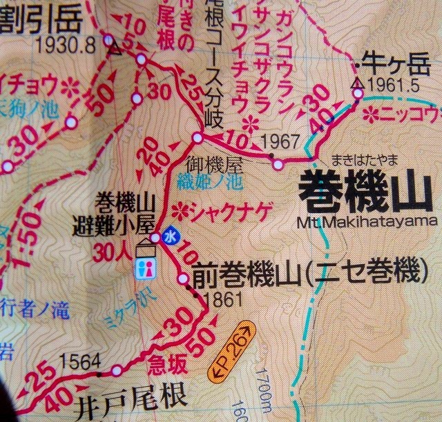 c0119160_12333281.jpg