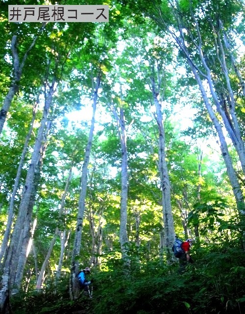 c0119160_12334531.jpg