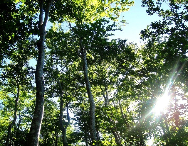 c0119160_14555044.jpg