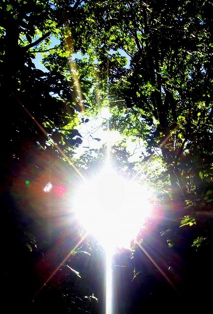 c0119160_15013210.jpg