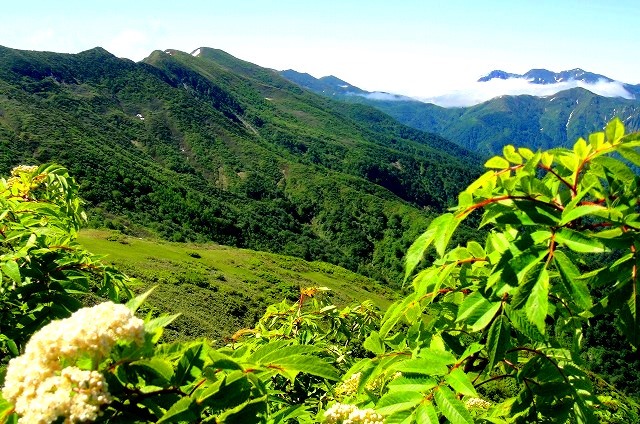 c0119160_15102169.jpg