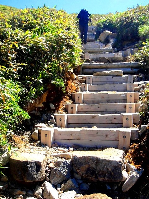 c0119160_15403048.jpg
