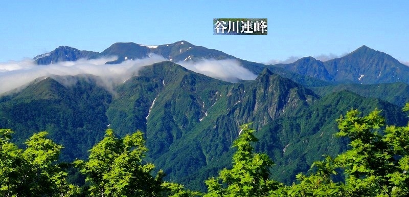 c0119160_16502805.jpg