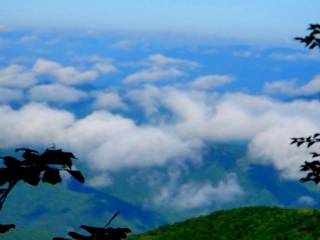 c0119160_16533077.jpg