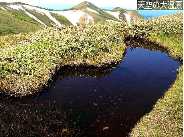 c0119160_17141895.jpg