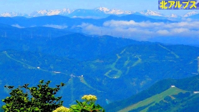 c0119160_20594073.jpg
