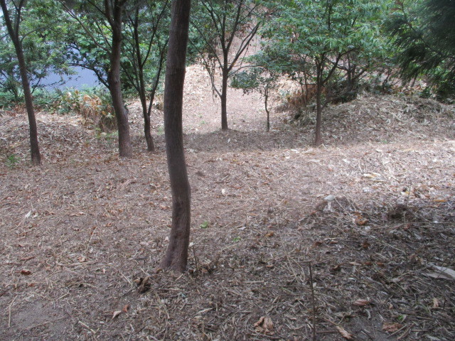 c0080863_09324453.jpg