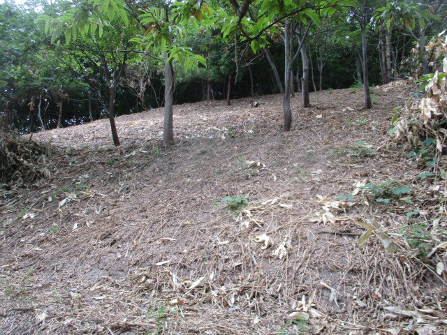 c0080863_09335002.jpg