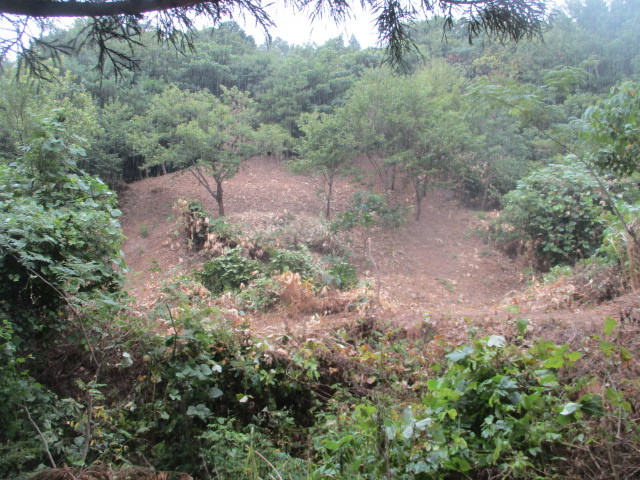 c0080863_09351061.jpg