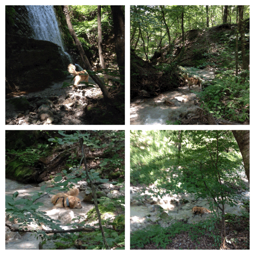 d0152765_21010870.gif