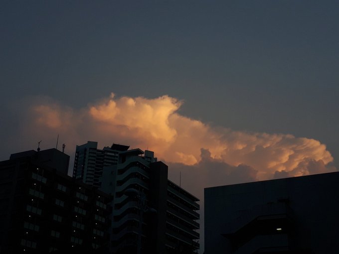 b0116271_21101710.jpg