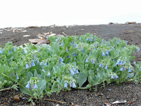 f0083977_09551623.jpg
