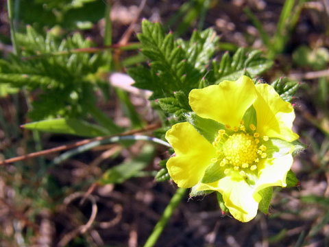 f0083977_10021221.jpg