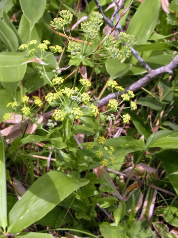 f0083977_10032248.jpg