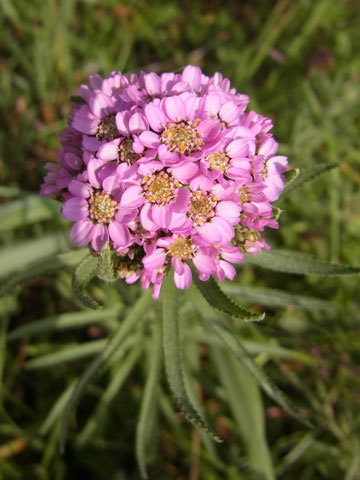 f0083977_10060477.jpg