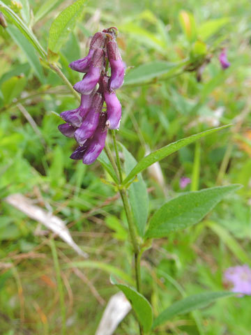 f0083977_10104227.jpg