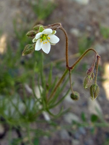 f0083977_10120740.jpg