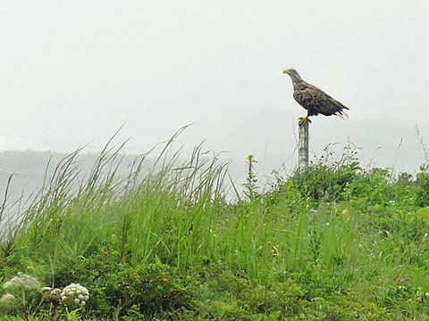 f0083977_10133422.jpg