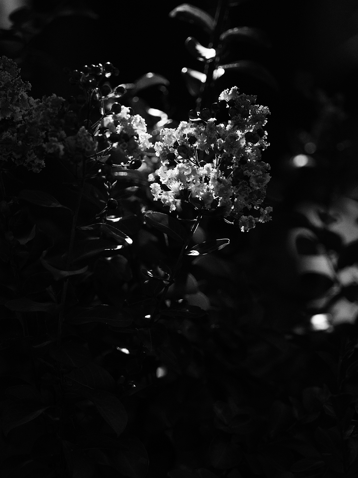 f0121181_23582575.jpg