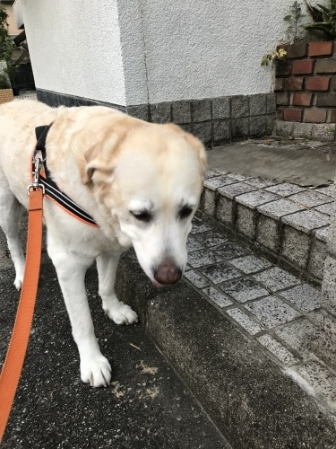 f0315081_22183896.jpeg