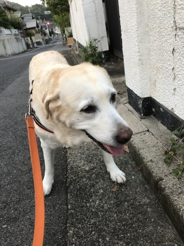 f0315081_22193385.jpeg