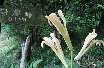 c0229483_1154149.jpg