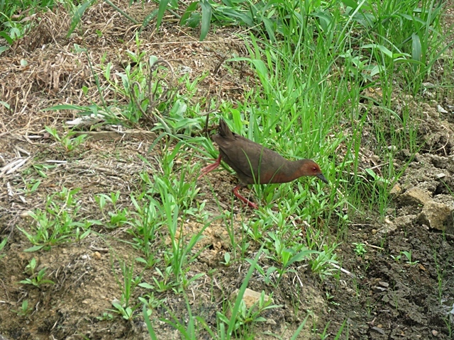 f0357487_15343018.jpg