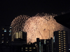 b0192588_8291711.jpg
