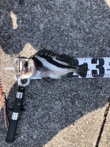 f0191888_01465781.jpeg