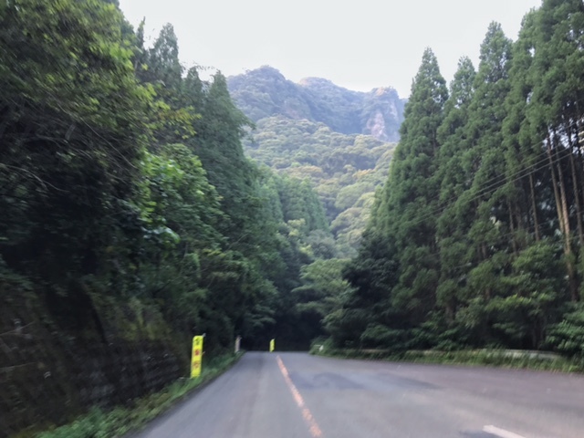 c0184491_10442785.jpeg