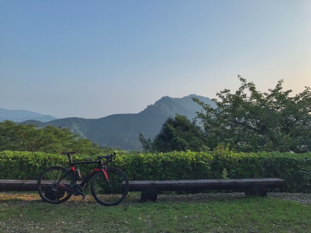 c0184491_10453654.jpeg