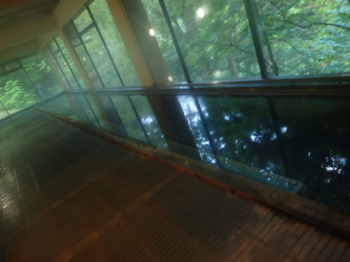 e0241691_18250927.jpg