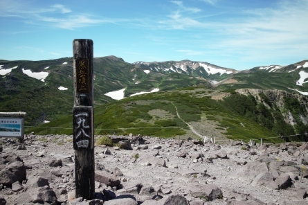 花の大雪山を歩く♪黒岳～化雲岳ソロテント泊にて_d0198793_12581444.jpg