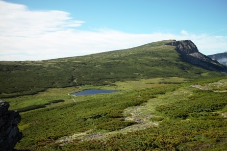d0198793_15541939.jpg