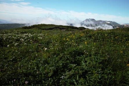 d0198793_15572909.jpg