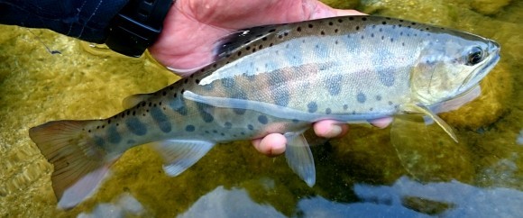 f0266202_11313663.jpg