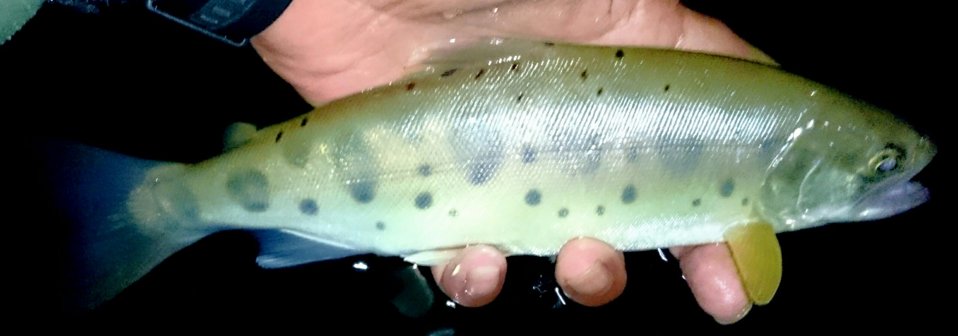 f0266202_11335591.jpg