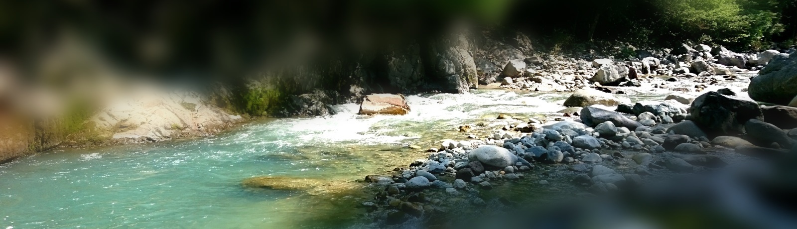 f0266202_11342730.jpg
