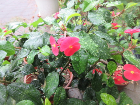 a0203003_08371315.jpg
