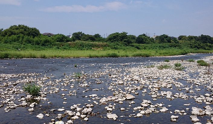 b0172805_15424139.jpg