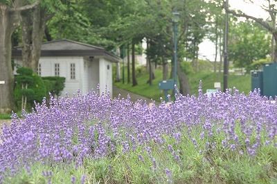 b0143308_21585980.jpg