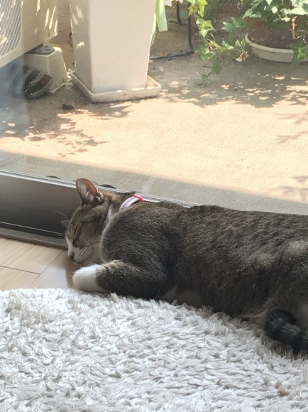 c0109109_22265505.jpeg